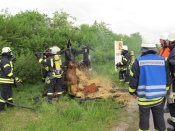 Freiwillige Feuerwehr Ansbach-Neuses e.V.