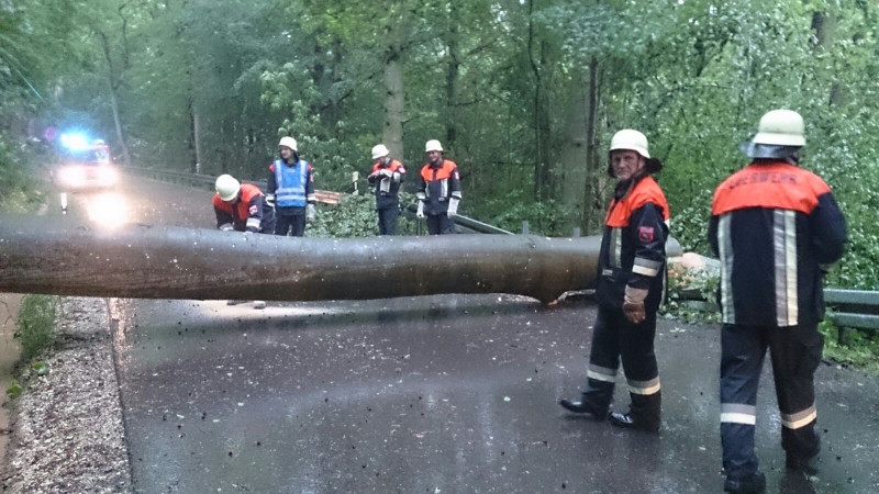 FFW Einsatz - Freiwillige Feuerwehr ANSBACH-NEUSES e.V.