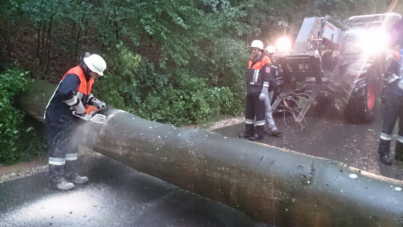 FFW Einsatz - Freiwillige Feuerwehr ANSBACH-NEUSES e.V.