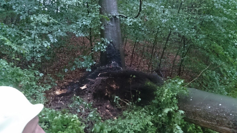 FFW Einsatz - Freiwillige Feuerwehr ANSBACH-NEUSES e.V.